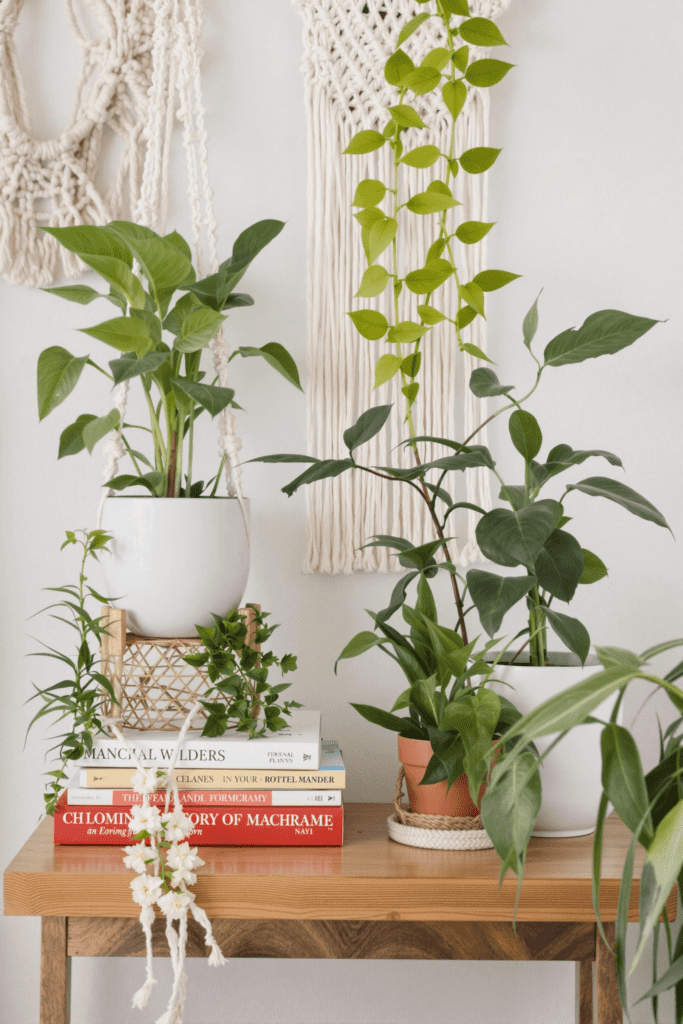 plants and books on a table symbolizing a virtual team